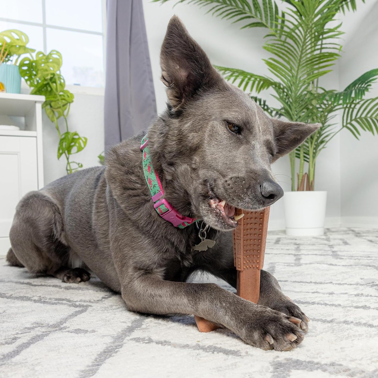 ETHICAL/SPOT Bam-Bone Plus T Bone Peanut Butter Flavor Chew Toy - 7"