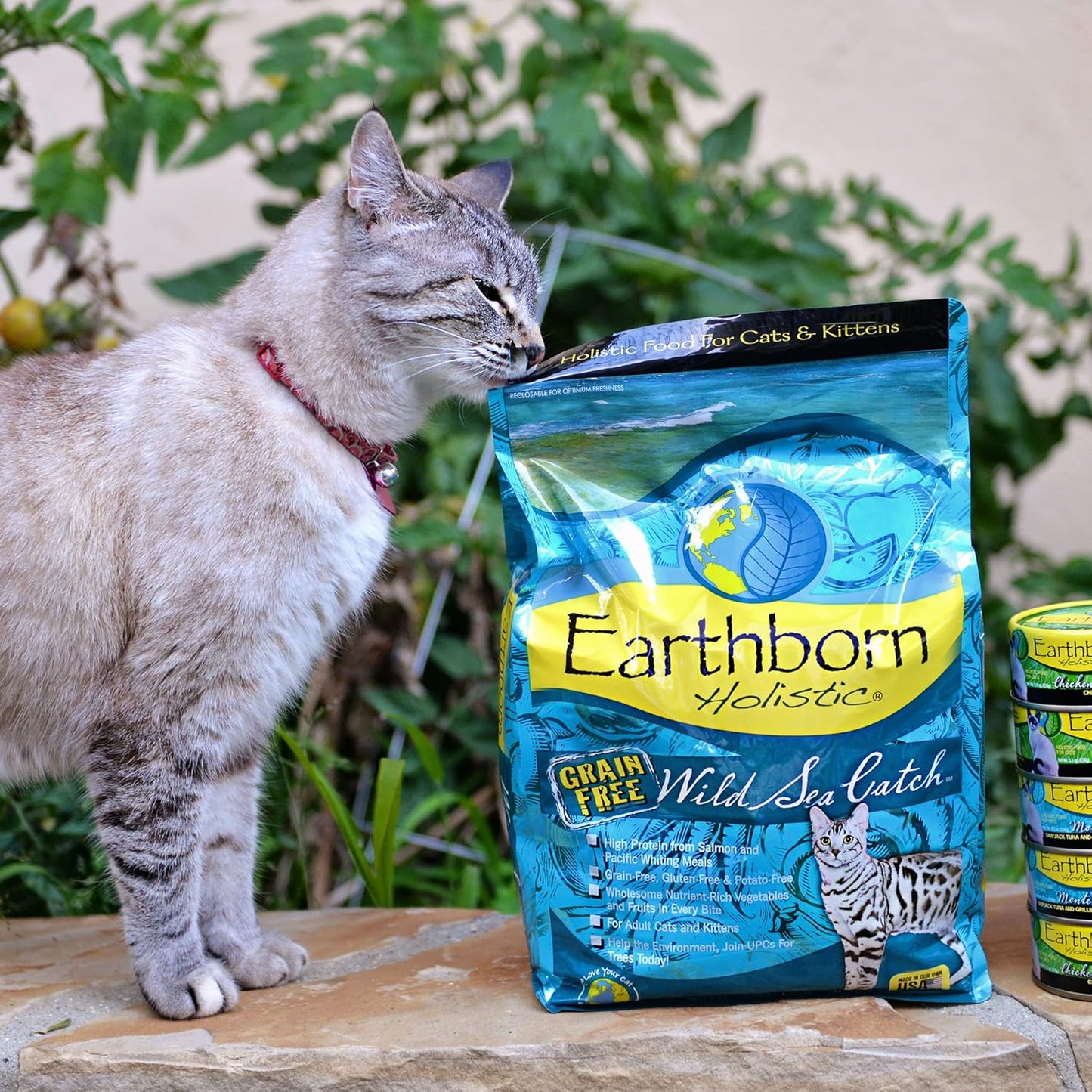 Earthborn Holistic Grain Free Wild Sea Catch Feline Dry Cat Food - 14 lbs