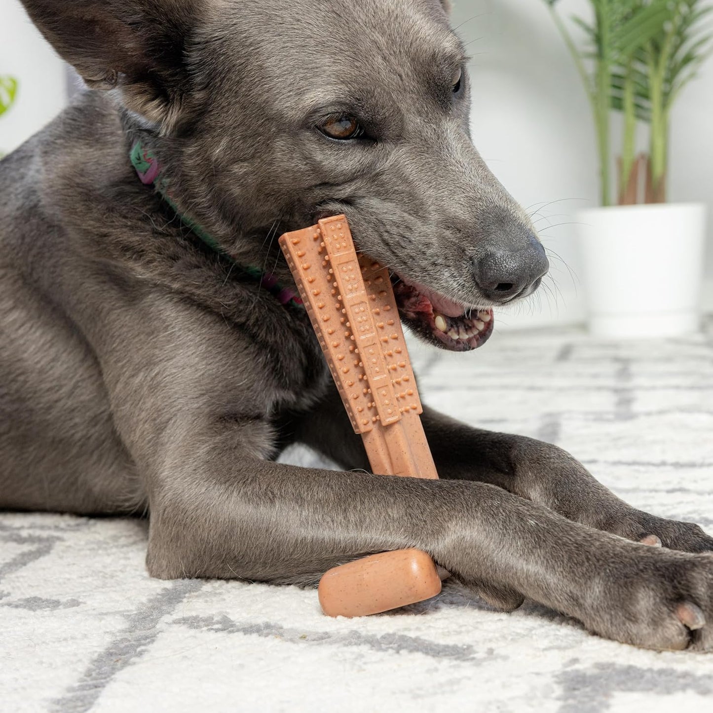 ETHICAL/SPOT Bam-Bones Plus T Bone Chew Dog Toy - 7" Beef Flavor