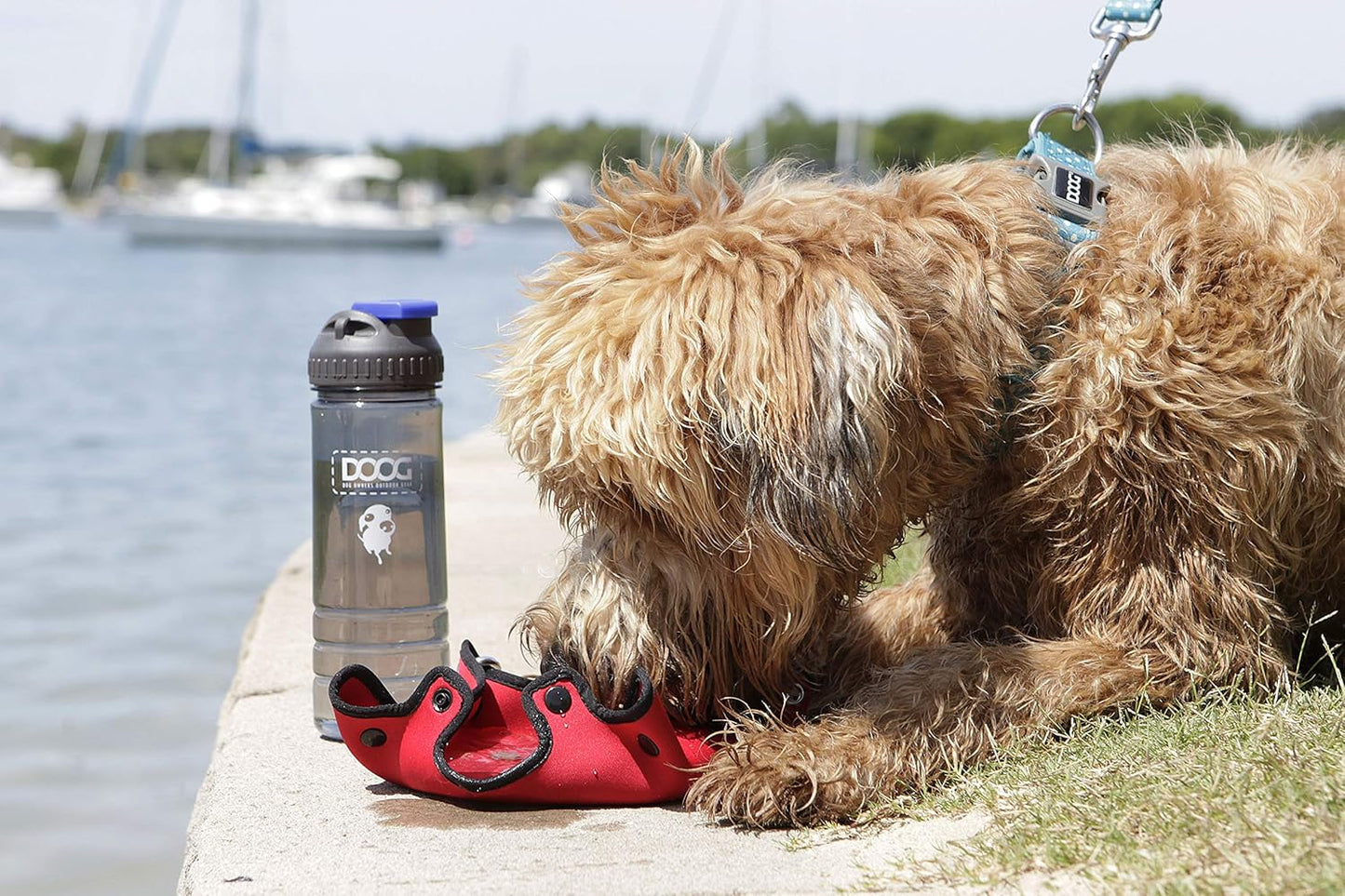 DOOG 3-in-1 Water Bottle & Bowl - Blue