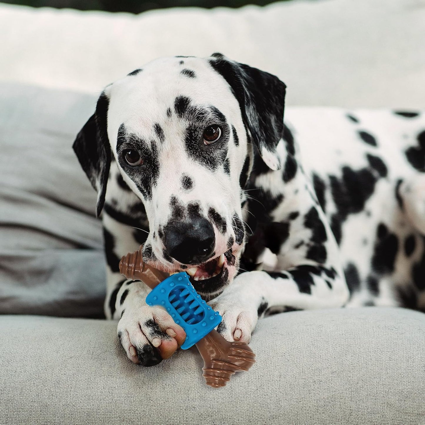 ETHICAL/SPOT Bam-Bone Plus Dental Chew Bacon Flavor Chew Toy - 6.5"