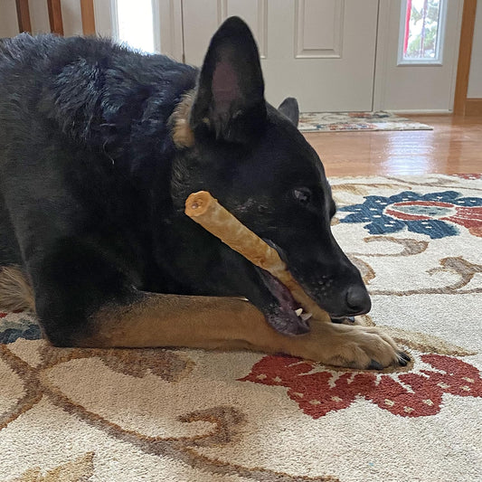 Fieldcrest Farms Nothing to Hide Large Rolls Salmon Flavor Chew Dog Treat - 10" (2 Pack)