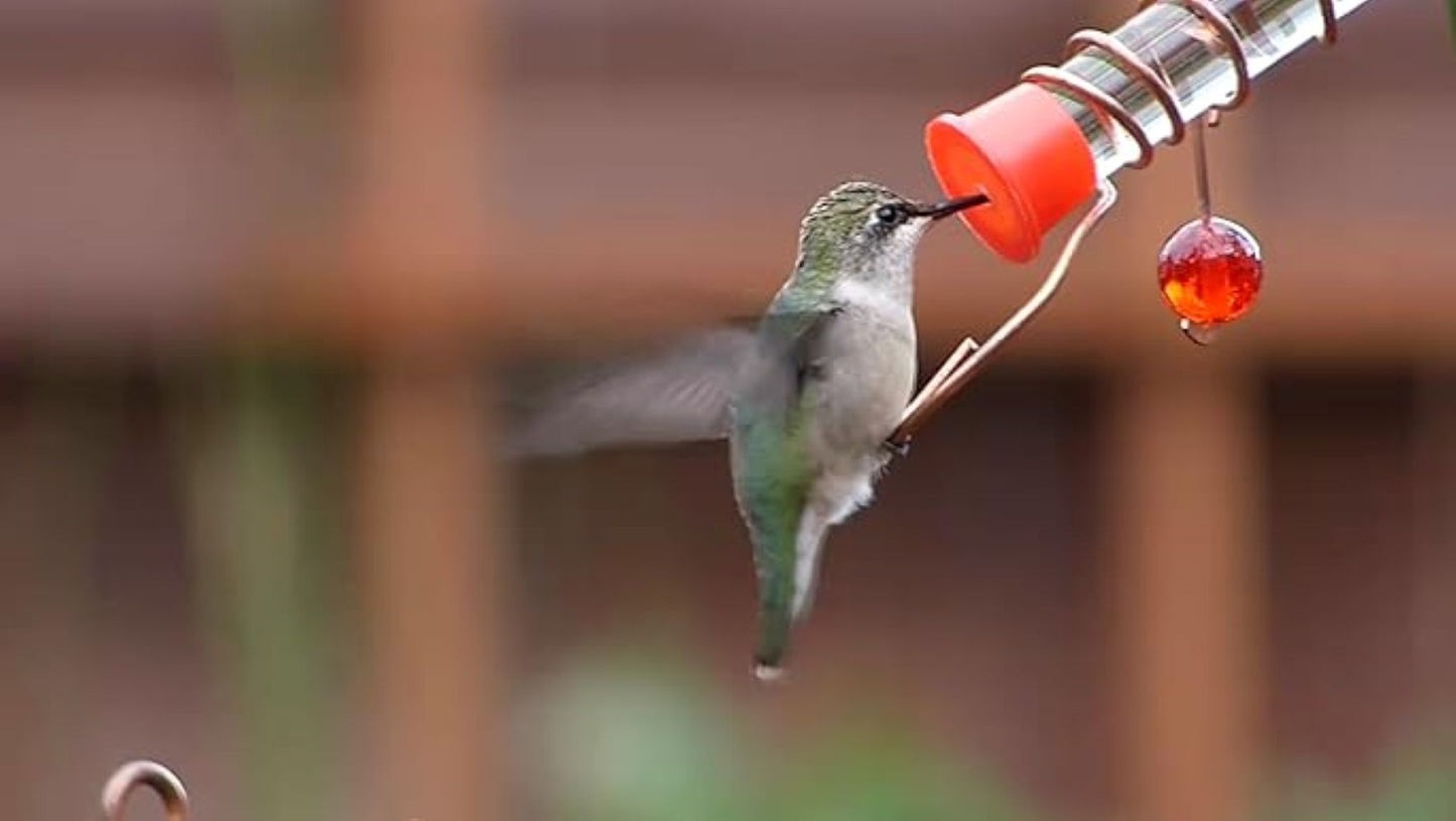 Songbird Essentials Clear/Copper Window Wonder 1 Hummingbird Tube Feeder - 6"