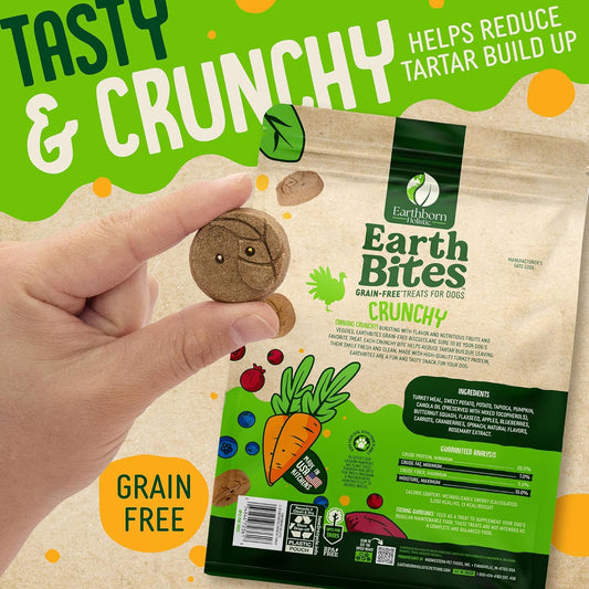 Earthborn Holistic EarthBars Turkey & Pumpkin Grain-Free Crunchy Dog Treats - 2 lbs