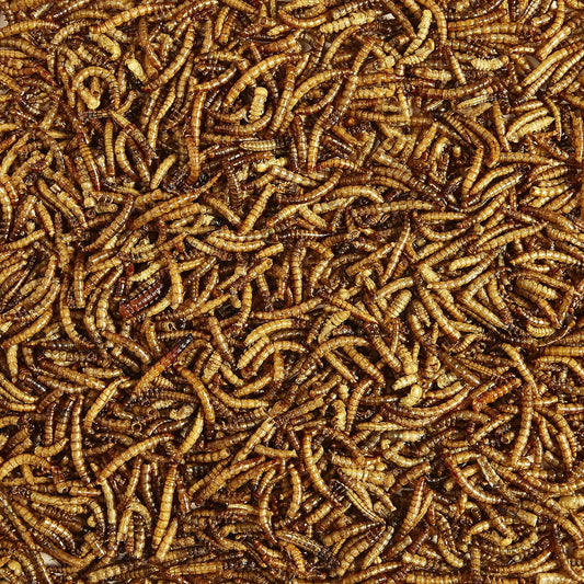 Kaytee Mealworms Bird Food - 2 LB