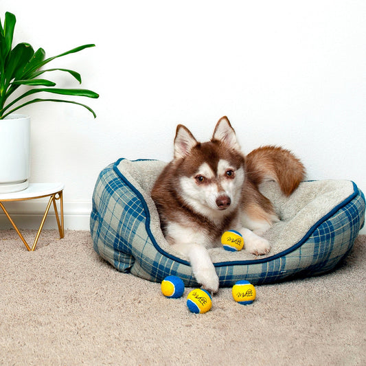 Midlee X-Small Dog Tennis Balls 1.5" Pack of 12 (Blue/Yellow)