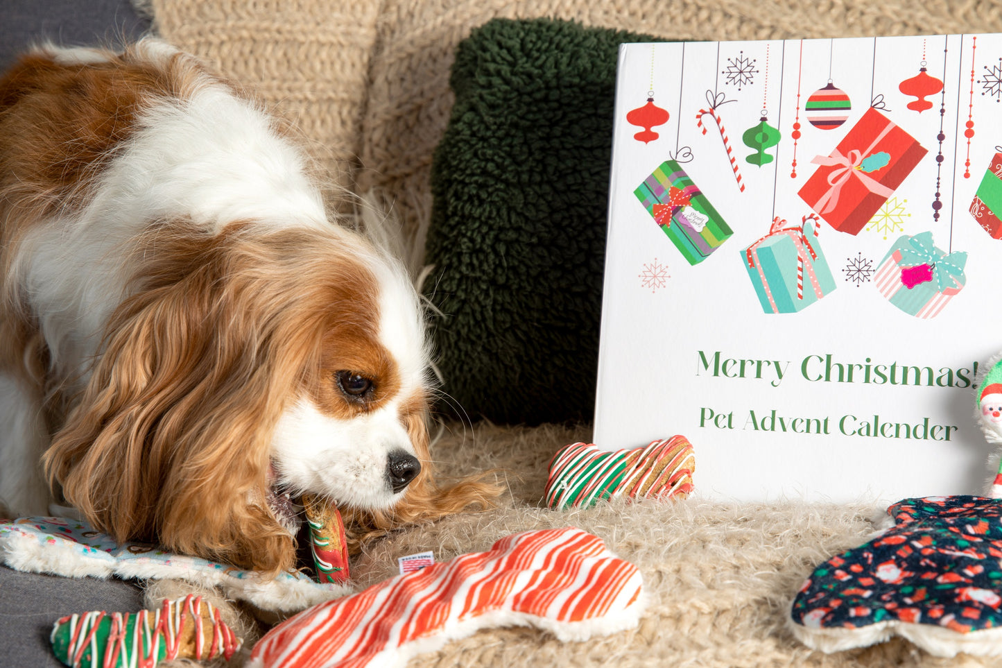 Midlee 12 Days of Christmas Dog Advent Calendar - Treats & Toys