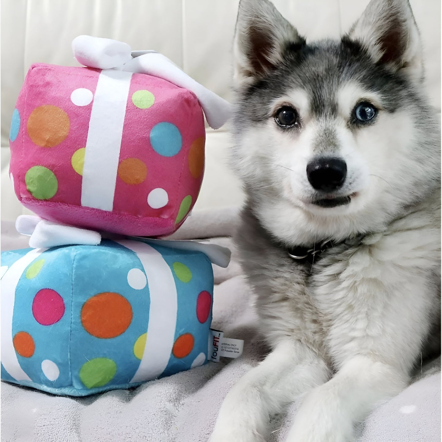 Birthday Present Plush Toy with Hidden Squeaker (6") - Blue
