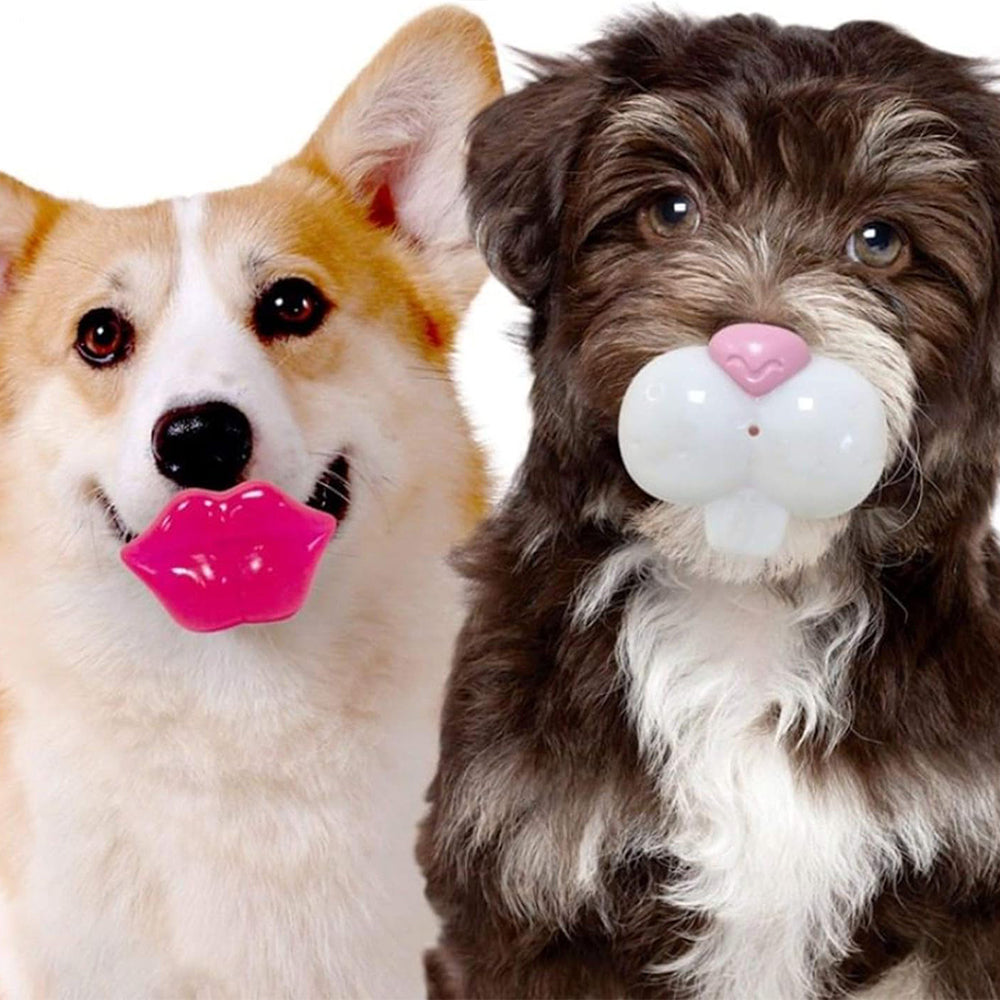 FOUFIT Paci-Chew Chew Toy for Dogs - Bunny
