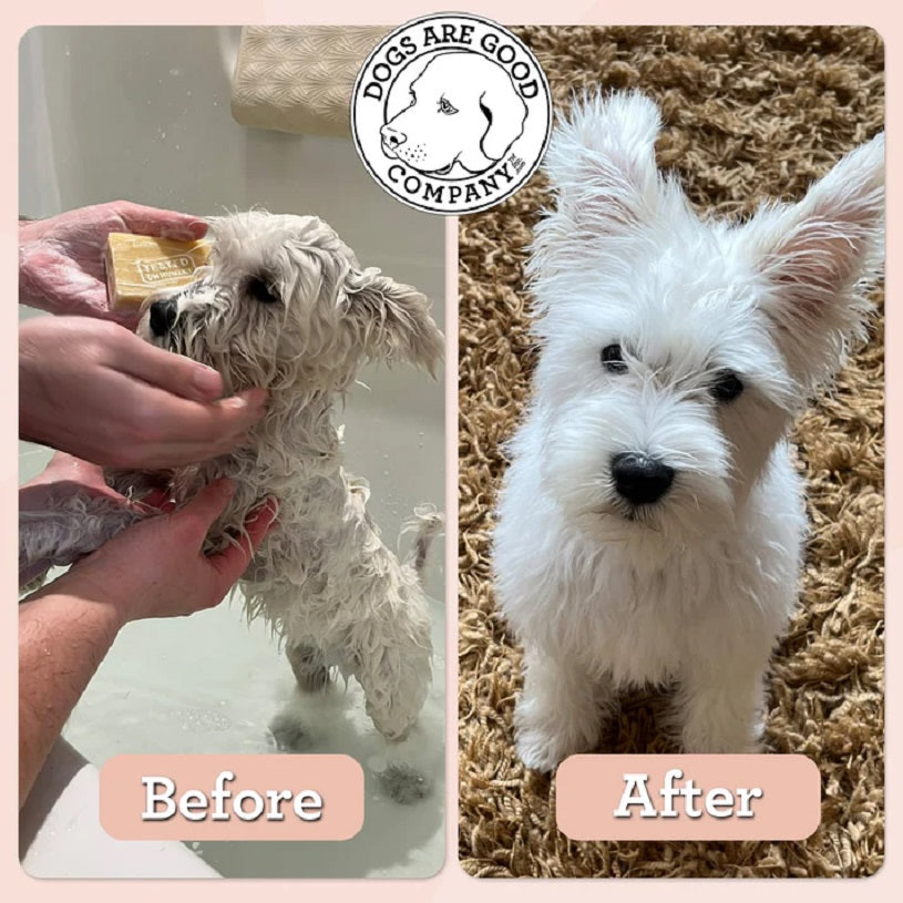 Dogs Are Good Company - Gentle Shampoo Bar (3.25 Oz)