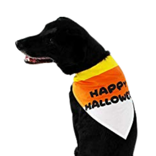 Midlee Candy Corn Halloween Dog Bandana
