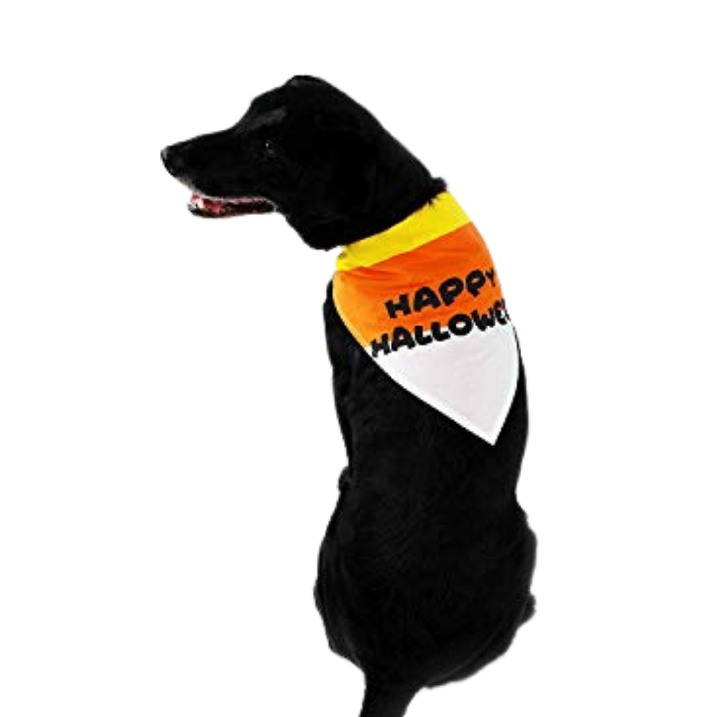 Midlee Candy Corn Halloween Dog Bandana