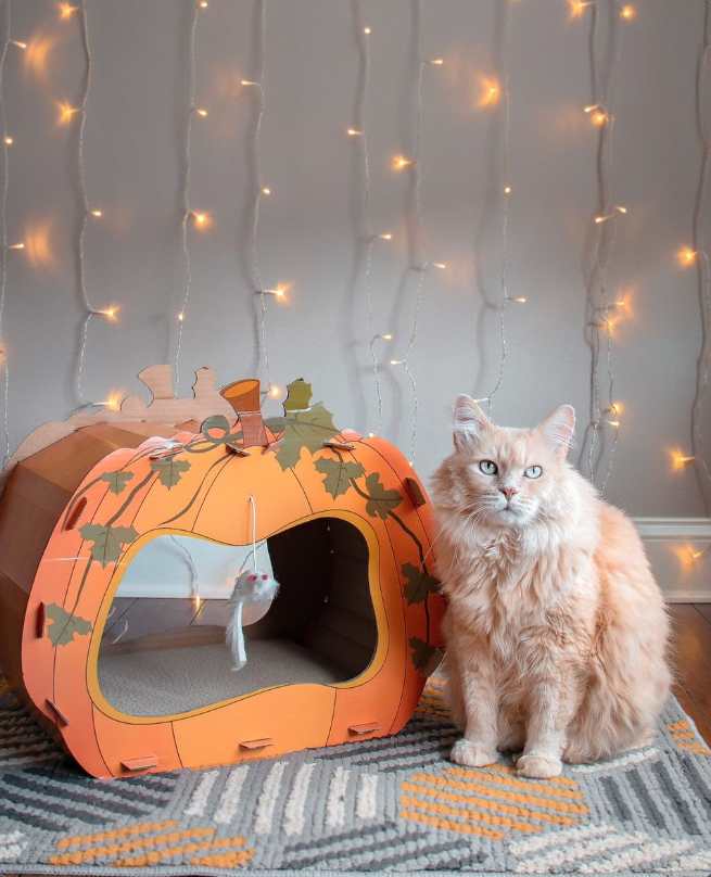 Midlee Halloween Pumpkin Cat Scratcher Cardboard House