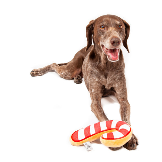 Midlee Christmas Sugar Cookie Plush Dog Toy- Candy Cane