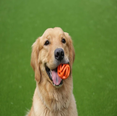 Chuckit Breathe Right Fetch Ball- Medium- 2 Pack