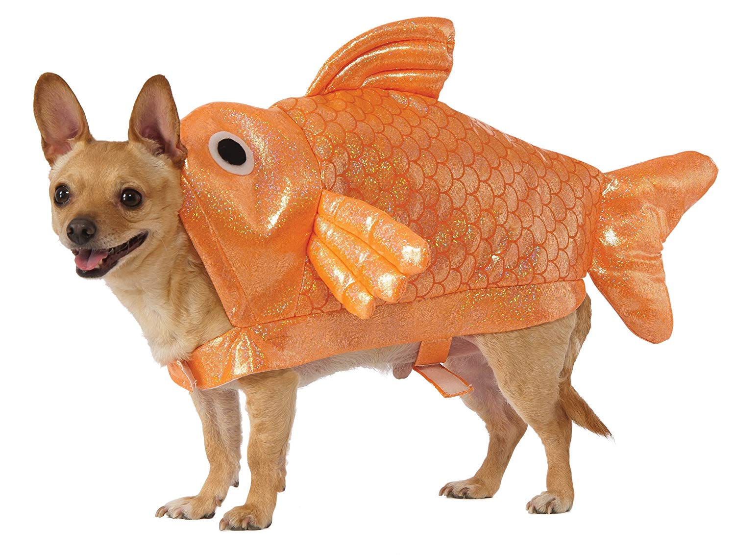 DIY halloween fish costume  Fish costume, Fisherman costume, Goldfish  costume