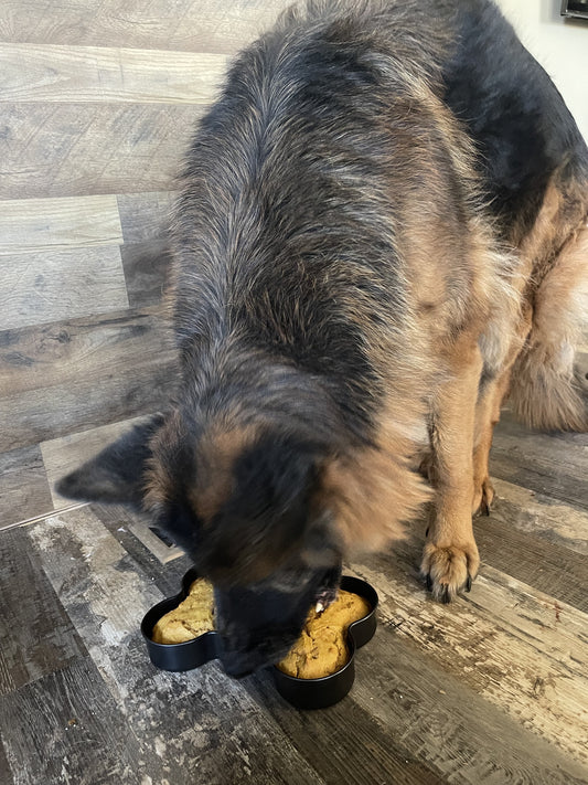 Midlee Nonstick Bone Shape Pan (Cake)