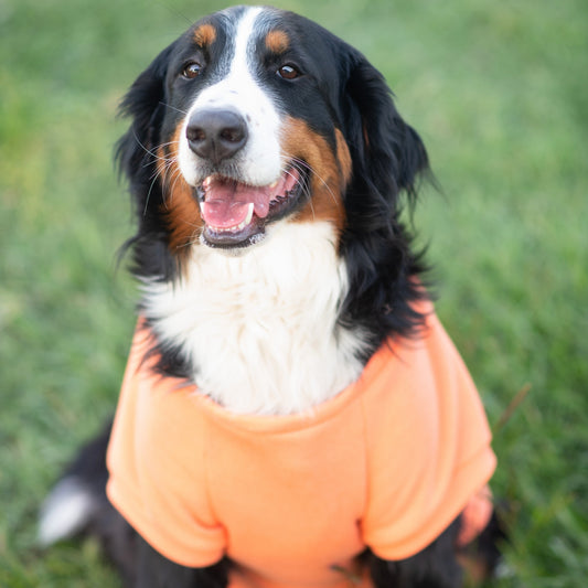 Midlee Coral Dog Sweatshirt