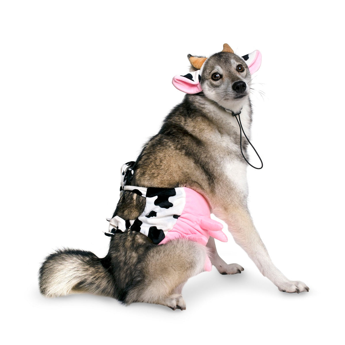 Midlee Cow Headband & Udder Dog Halloween Costume