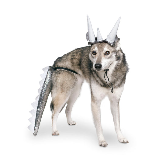 Midlee Dinosaur Dog Headband & Tail Halloween Costume