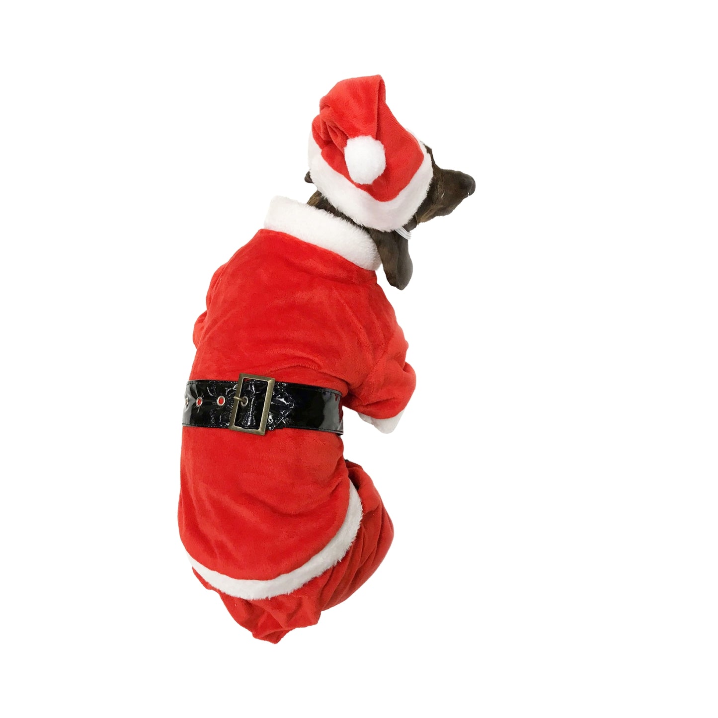 Midlee Dog Santa Claus Costume