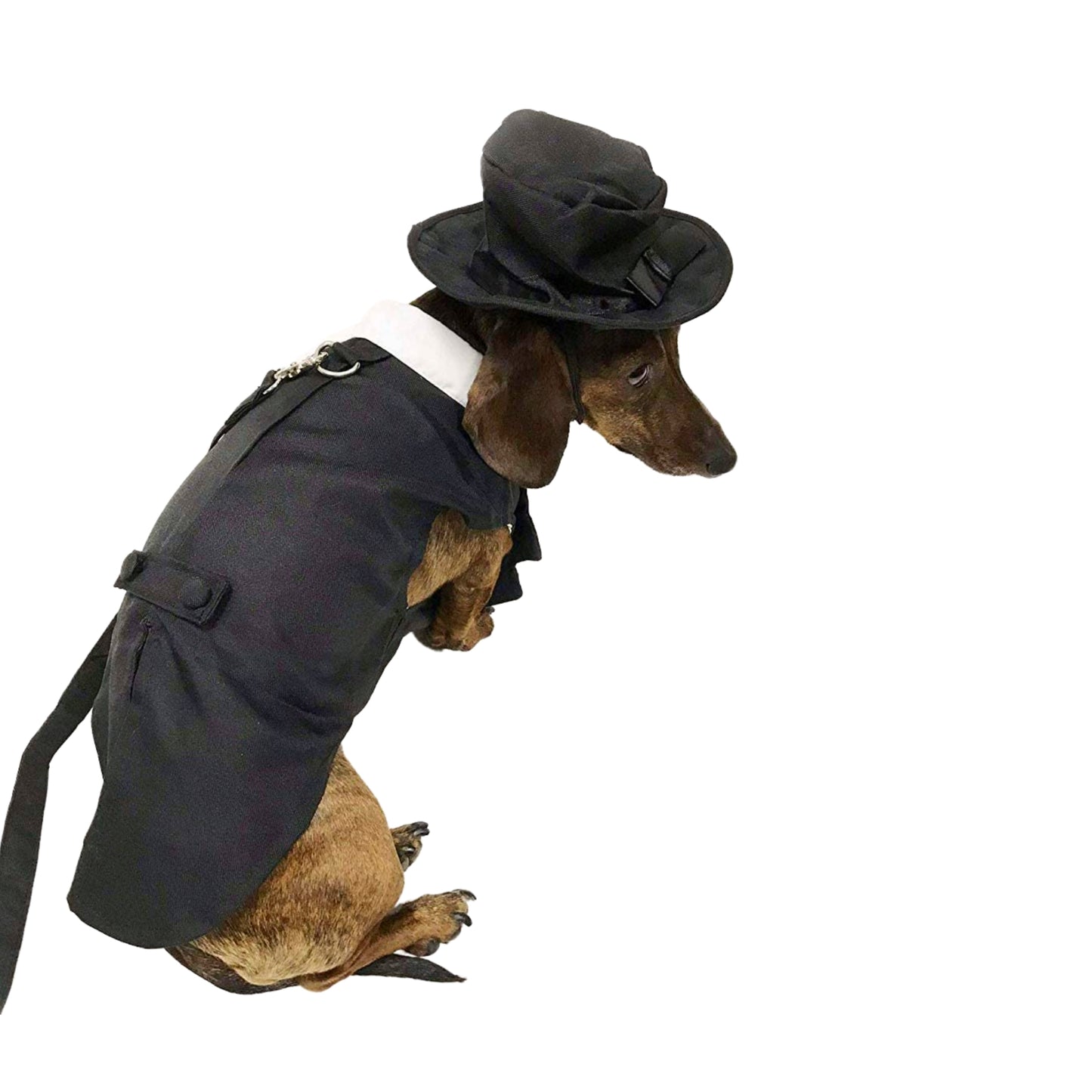 Midlee Dog Tuxedo Wedding Suit- Black Top Hat & Leash