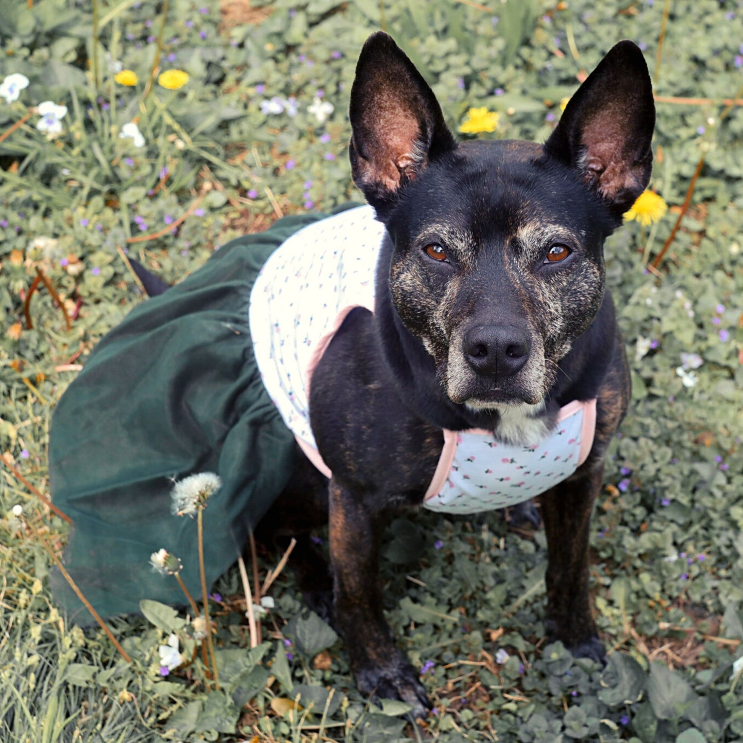 Midlee Pink Rose Tutu Large Dog Easter Dress (XXX-Large)