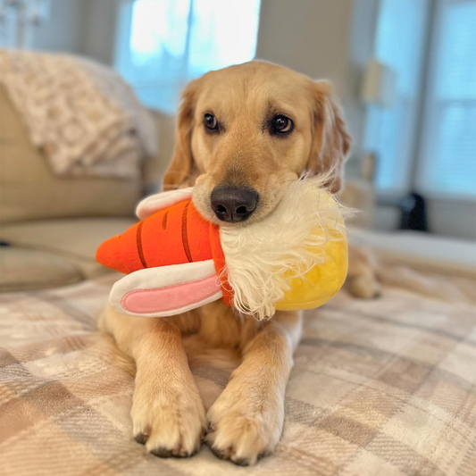 Midlee Easter Bunny Gnome Dog Toy