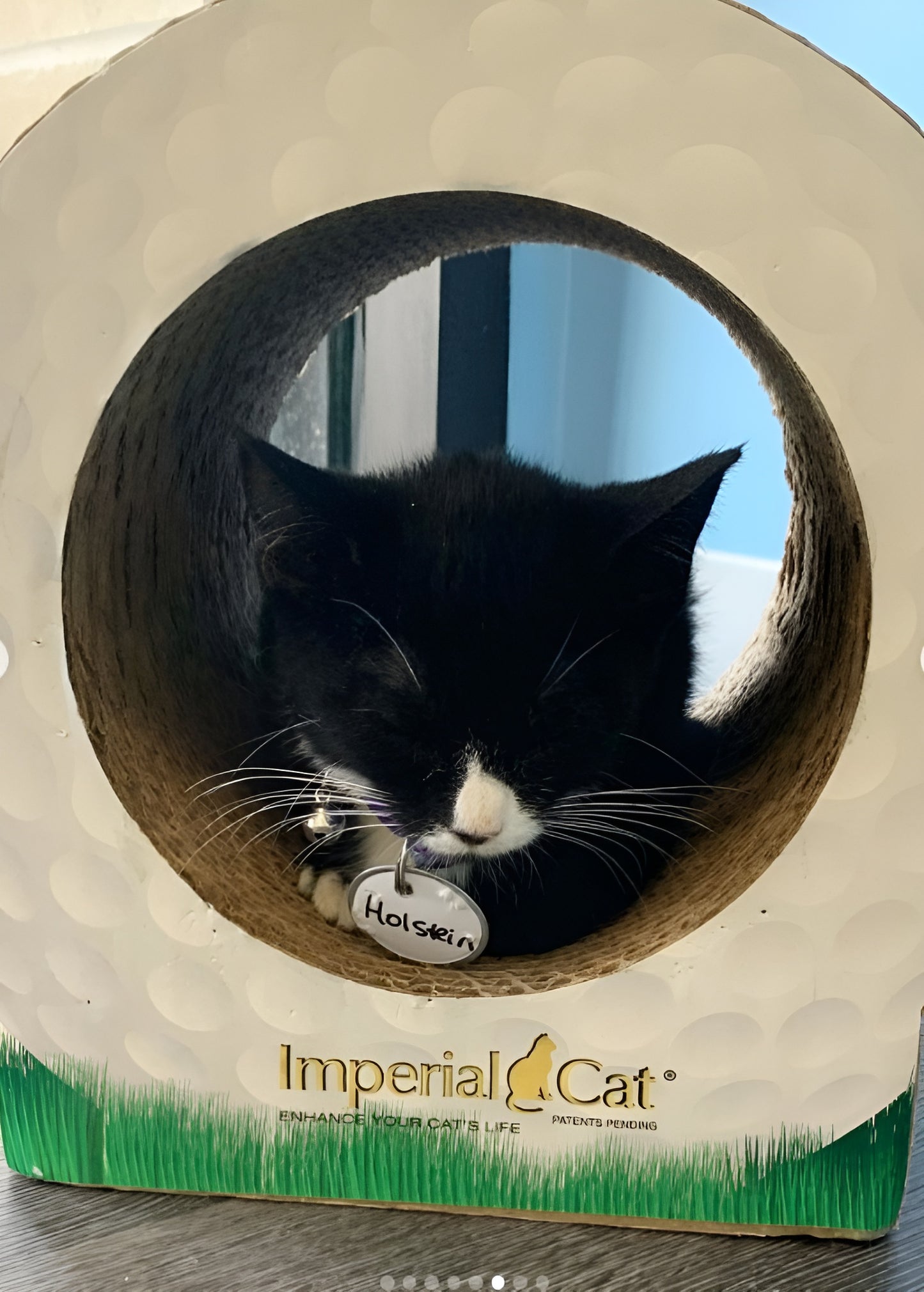 Imperial Cat Scratch 'n Shapes Golf Ball Scratcher
