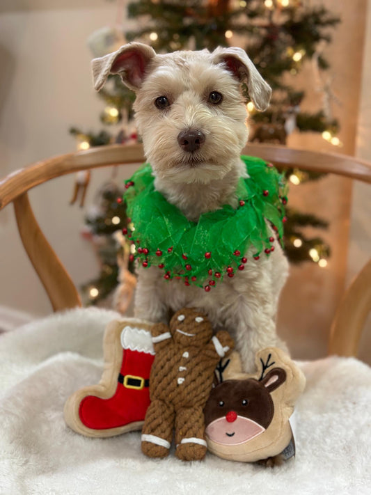 Midlee Gingerbread Man Rope Dog Toy