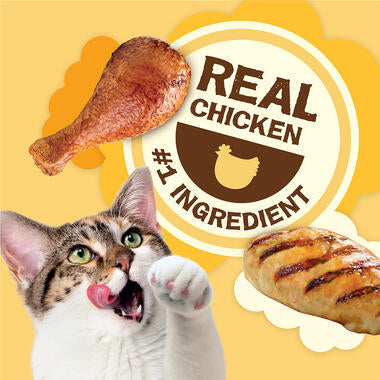 Friskies Party Mix Cat Treats Natural Yums With Real Chicken - 2.1 oz