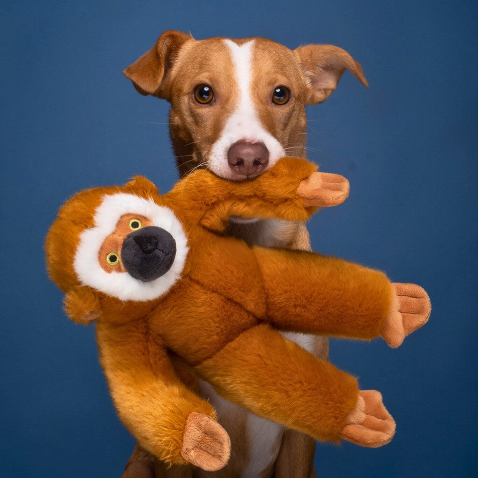 Fluff & Tuff Marcel Monkey Dog Toy - 13"