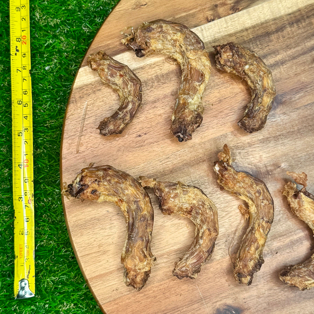 FUREVER FIERCE Chicken Neck Dog Treats - 5CT
