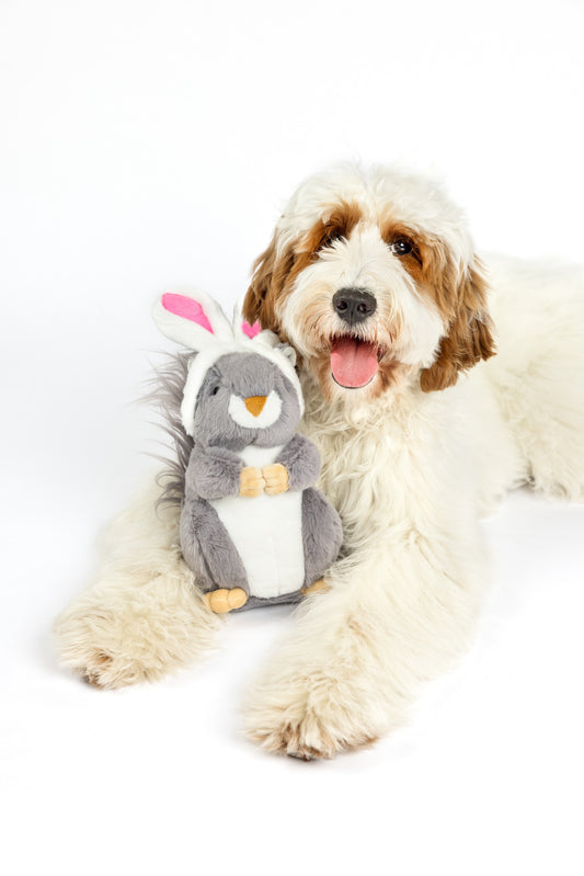 Midlee Easter Squirrel Bunny Plush Large Dog Toy