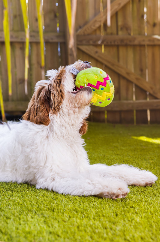Midlee Plush Easter Egg Dog Toy with Squeaker (Yellow)-Large