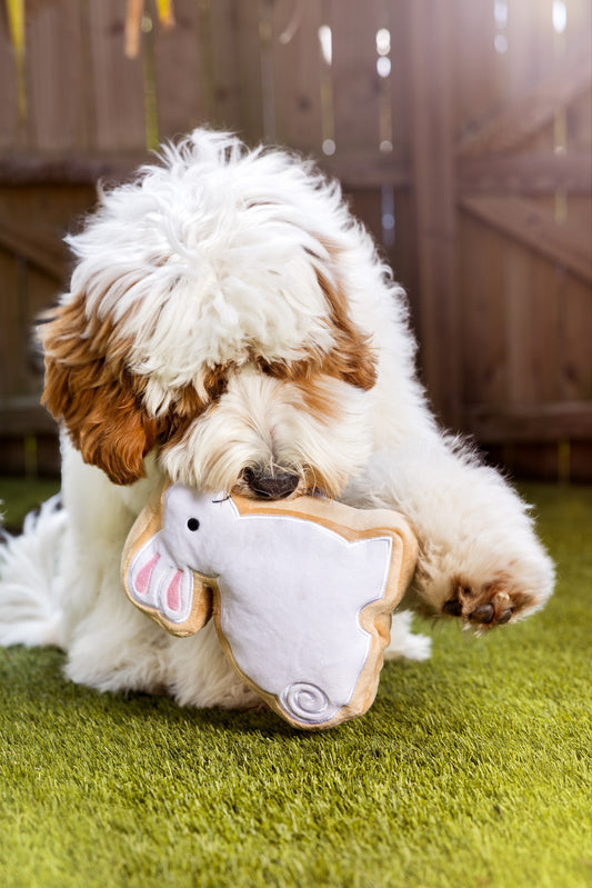 Midlee Sugar Cookie Easter Bunny Dog Toy