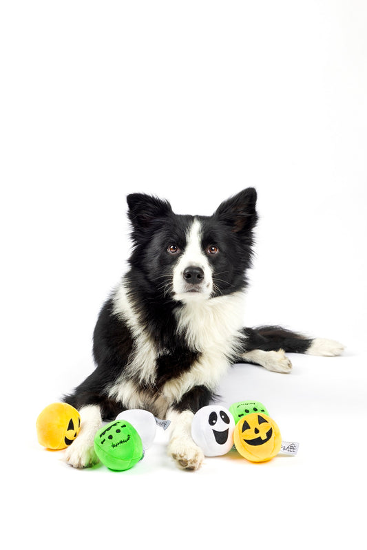 Midlee Silly Face Halloween Balls Plush Dog Toy