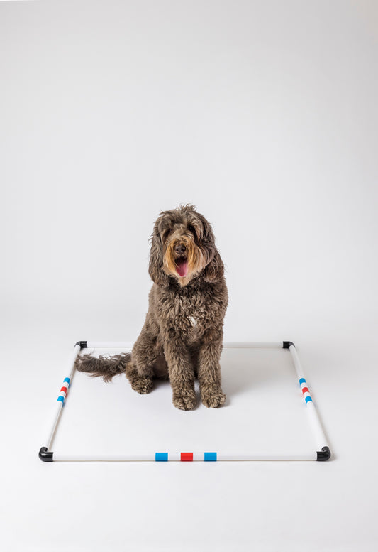 Midlee Dog Agility Pause Box