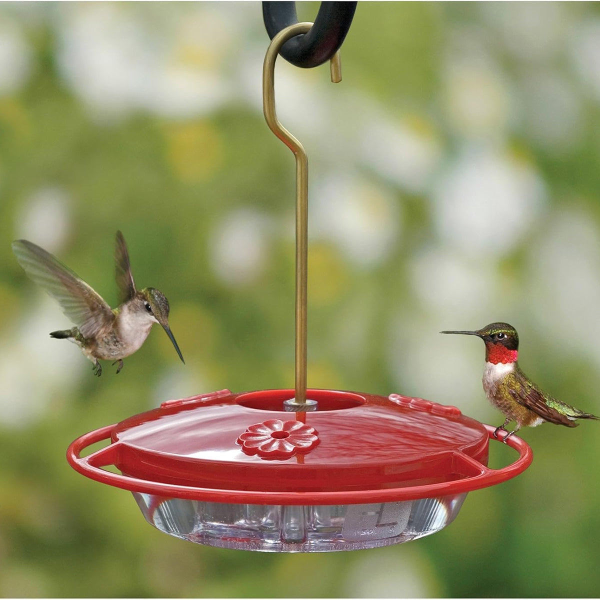 Aspects Mini HummZinger Hanging Hummingbird Feeder - 8 oz (Red)