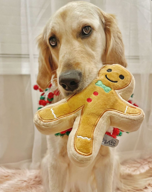 Midlee Christmas Sugar Cookie Plush Dog Toy (Gingerbread Man, Small)