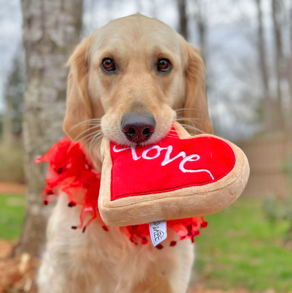 Midlee Valentine's Day Lips Decorative Dog Collar