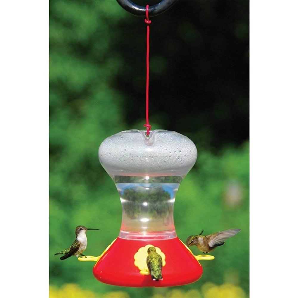 Songbird Essentials SEBCO360 Fliteline Hummingbird Bird Feeder
