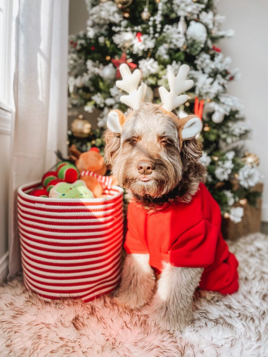 Midlee Candy Cane Rope Basket