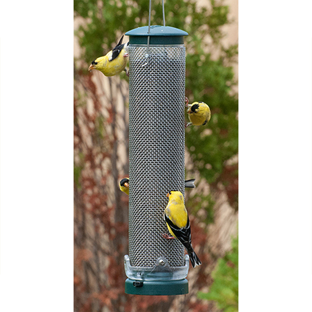 Aspects Spruce Medium Quick Clean Nyjer Mesh Thistle Tube Bird Feeder - 1.25 Quart