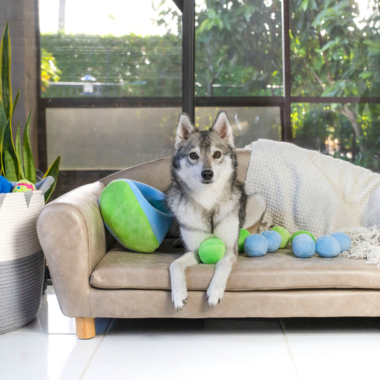 Midlee Hide a Ball Dog Toy - Blue/Green