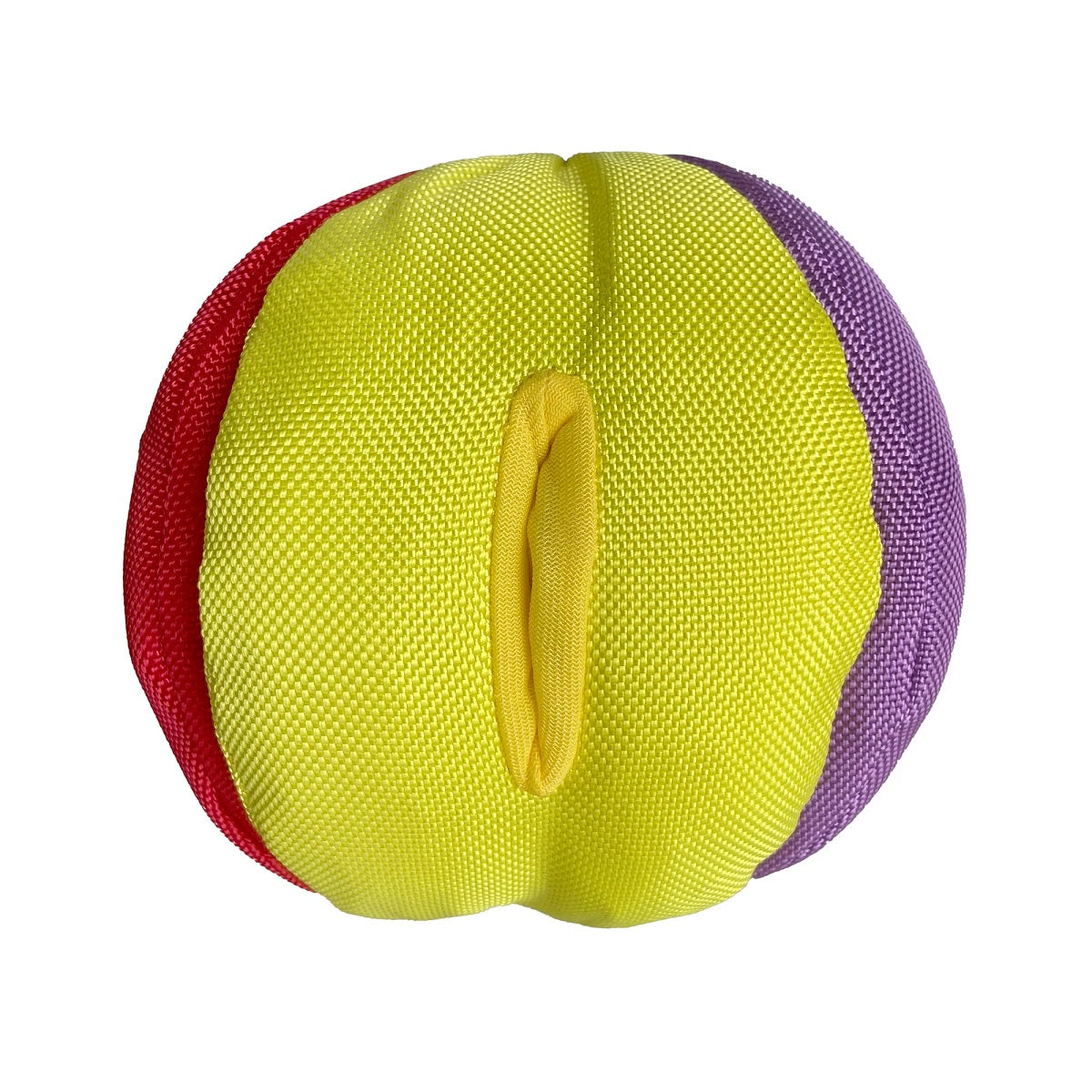 fouFIT Hide 'n Seek Ball Interactive Dog Toy