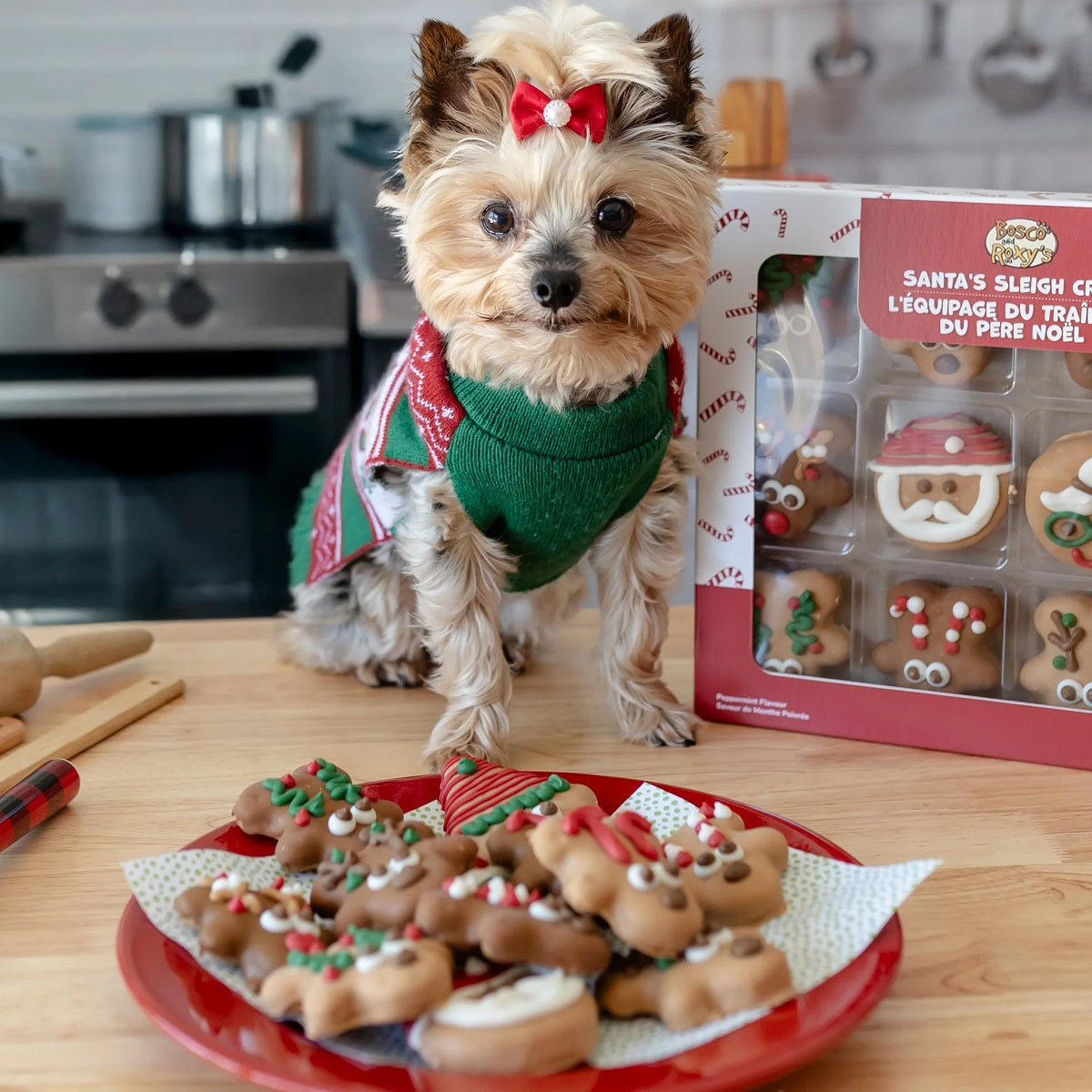 Bosco & Roxy's Santa's Sleigh Crew | Christmas Present Dog Treats