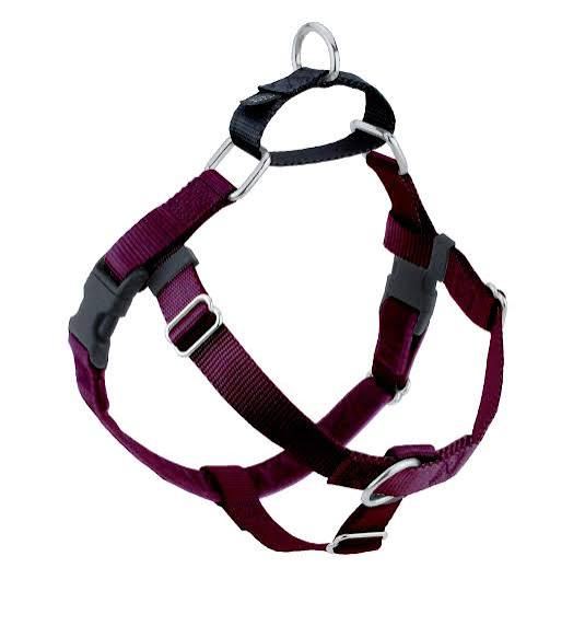2 Hounds Design Freedom No Pull 1 Inch Training Leash ONLY Works with No Pull Harnesses Raspberry