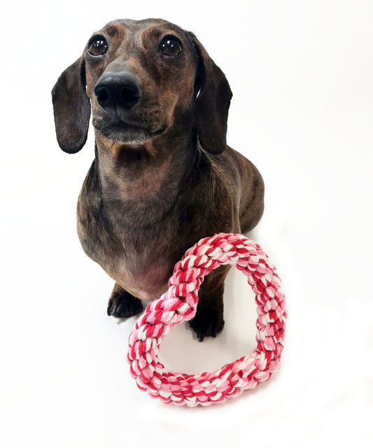 Midlee Valentine's Heart Rope Dog Toy (6" x 6")- Pink, Red, White Cotton Chew Gift
