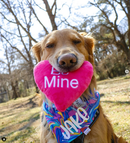 Midlee Candy Heart Valentine's Dog Toy- Set of 4